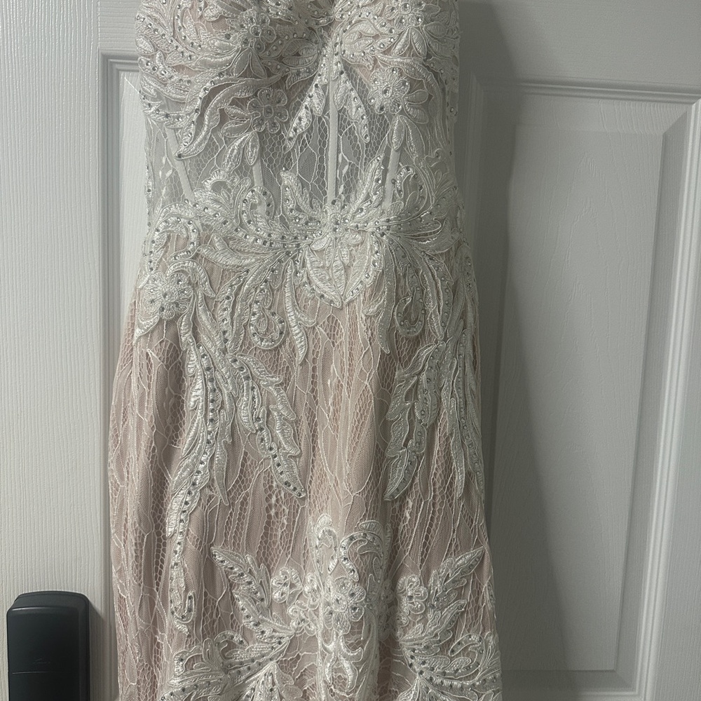 Windsor White and Nude Lace Corset Dress